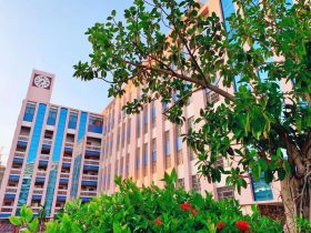 【國培計劃2025】聚焦數(shù)字化創(chuàng)新，打造智慧化課堂——海南省中小學教育集團數(shù)字化轉型學科骨干教師數(shù)字化教學創(chuàng)新能力提升培訓